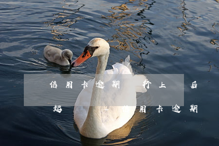 信用卡逾期銀行上門后、會(huì)起訴嗎?-信用卡逾期銀行上門后,會(huì)起訴嗎怎么辦